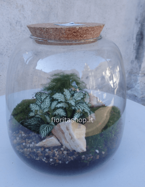 Terrarium 