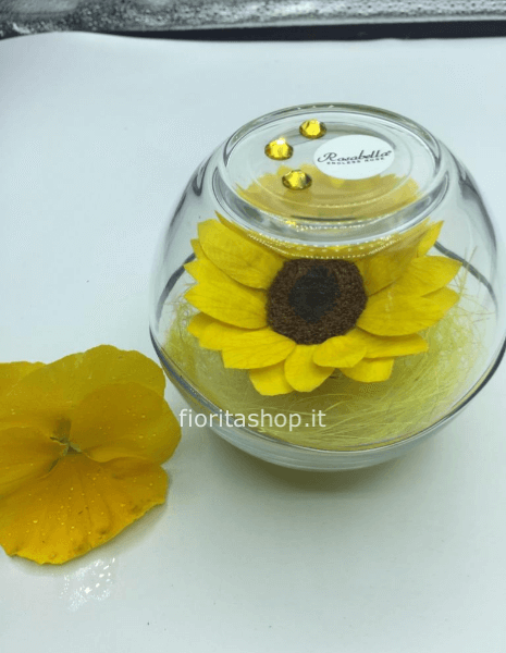 Girasole stabilizzato