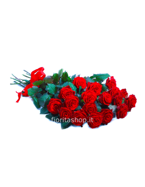 rose rosse da  70 cm