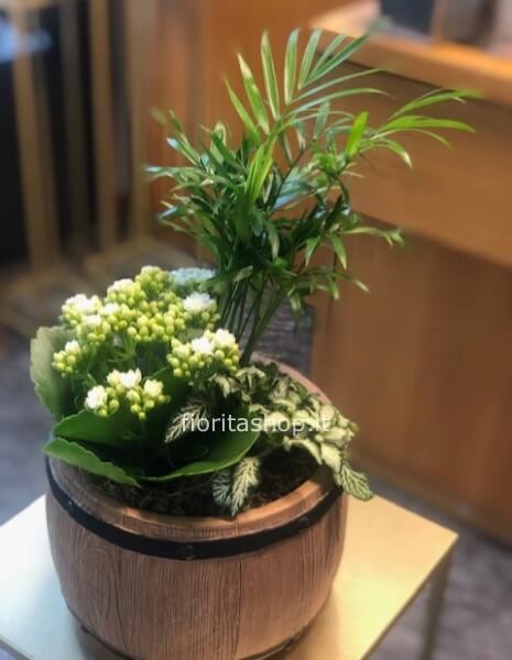 Tris in vaso a botte