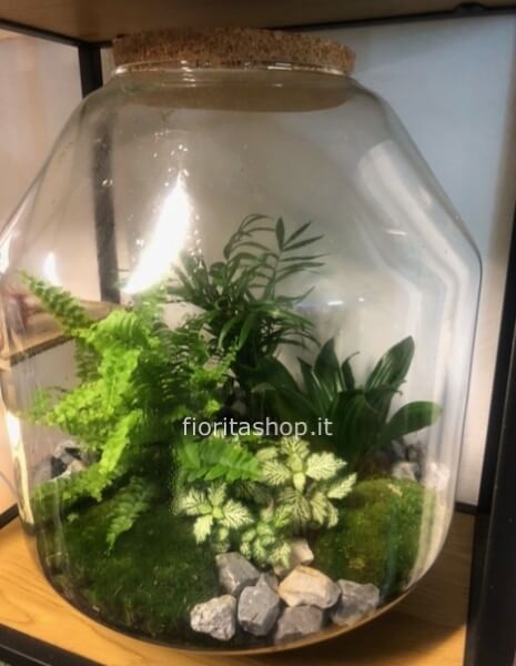 Terrarium dimensioni 42,00 cm di altezza per 30 cm di larghezza
